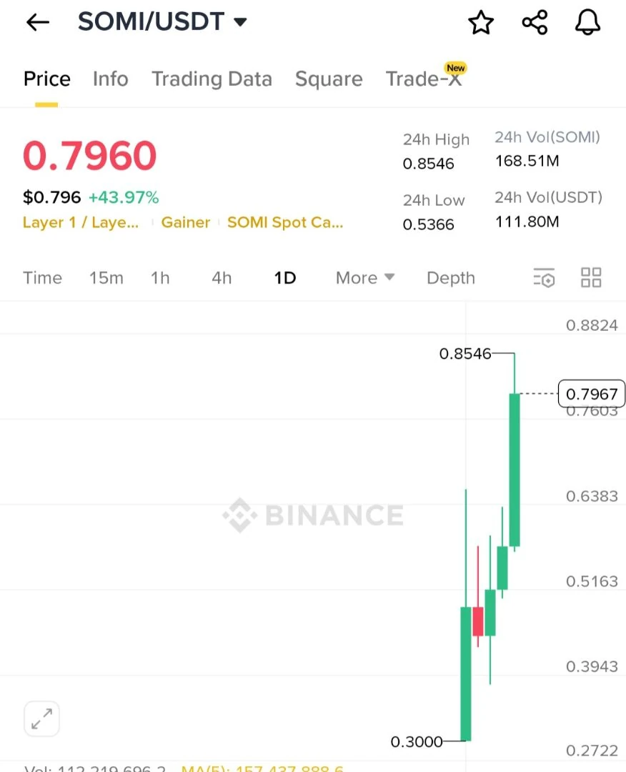 솜이야 내가 더 잘할게