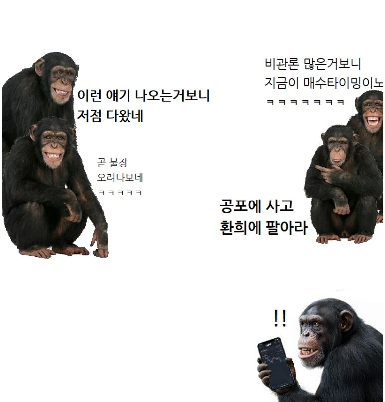 현재 코인 투자자 상황