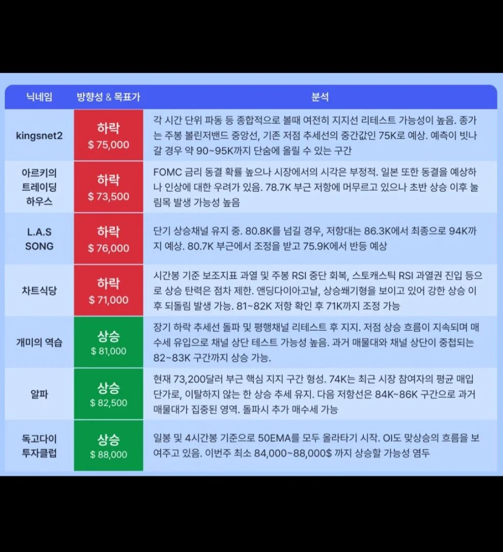 비트코인 차트전문가 생각