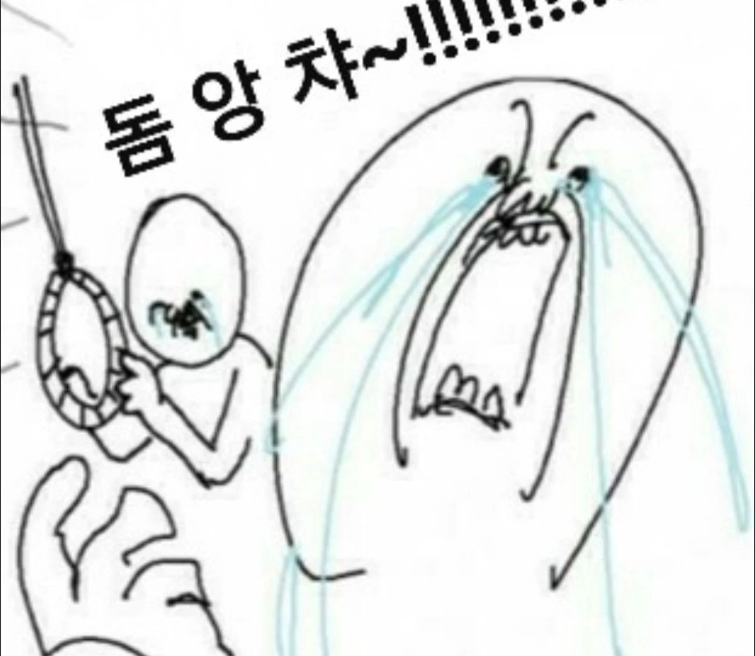 와 비트 80k 대라니..
