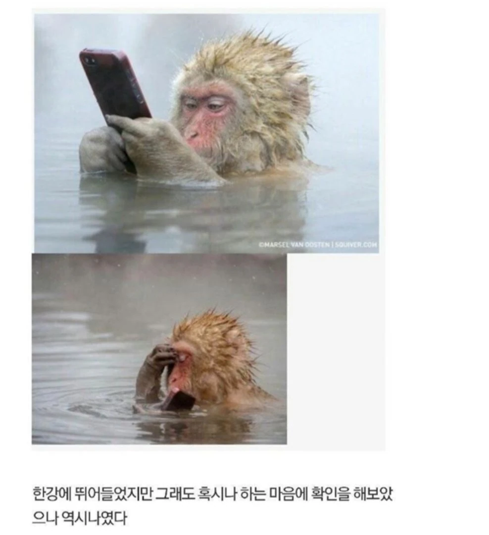비트 또 떨어지네