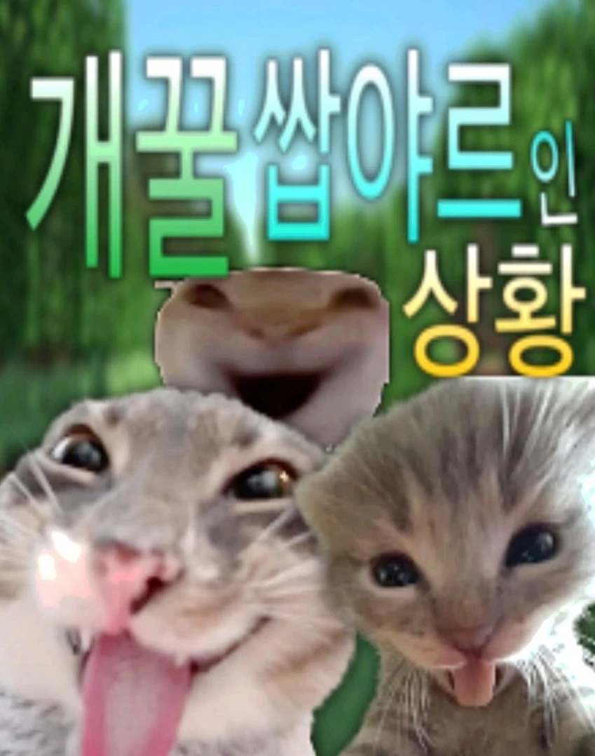 이더리움 삿어요
