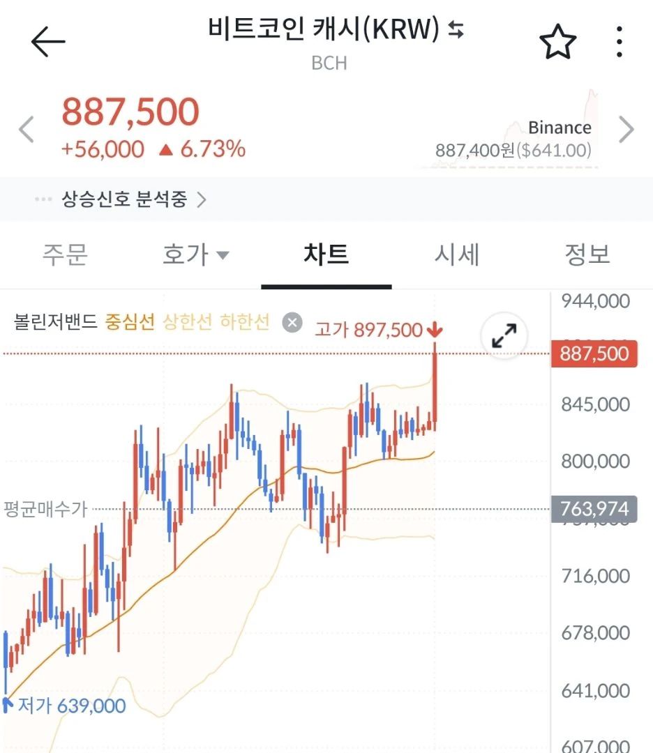 BCH 미친듯이 튀었다