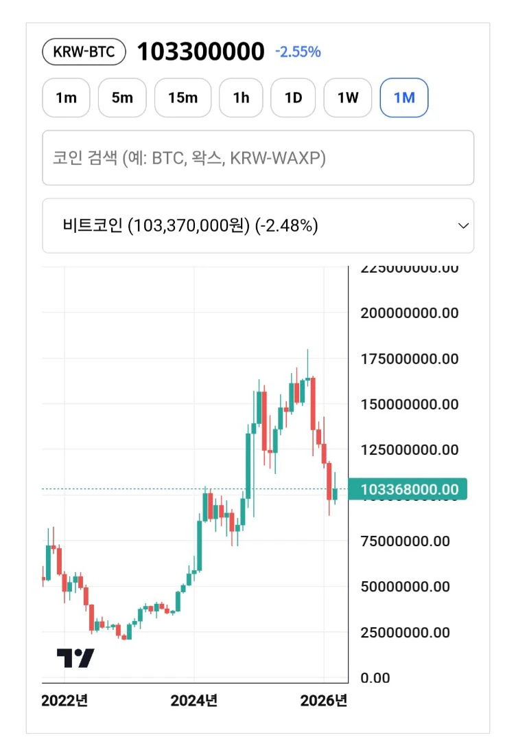 비트코인 연속 6개월 음봉