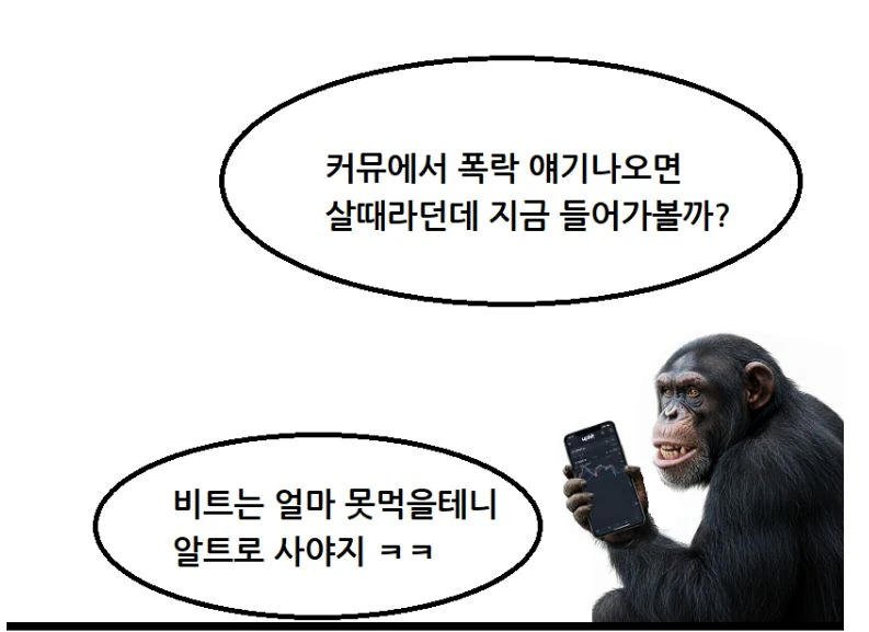 현재 코인 투자자 상황