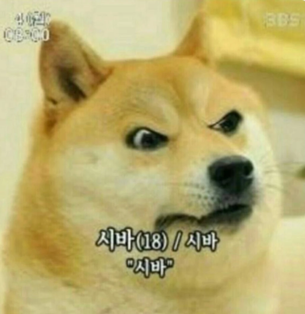 와 이더리움 지렸다
