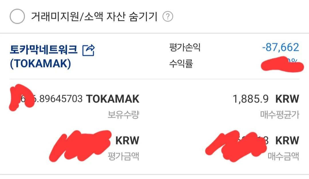 토카막 나도 담아봄