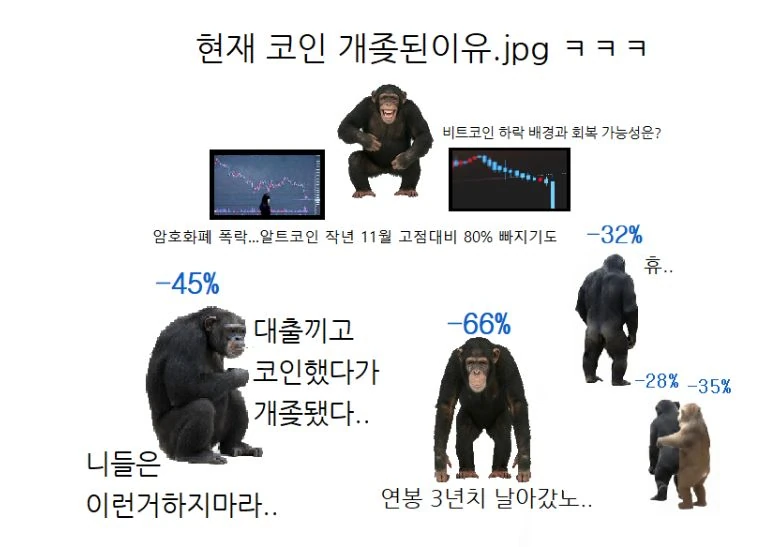 현재 코인 투자자 상황