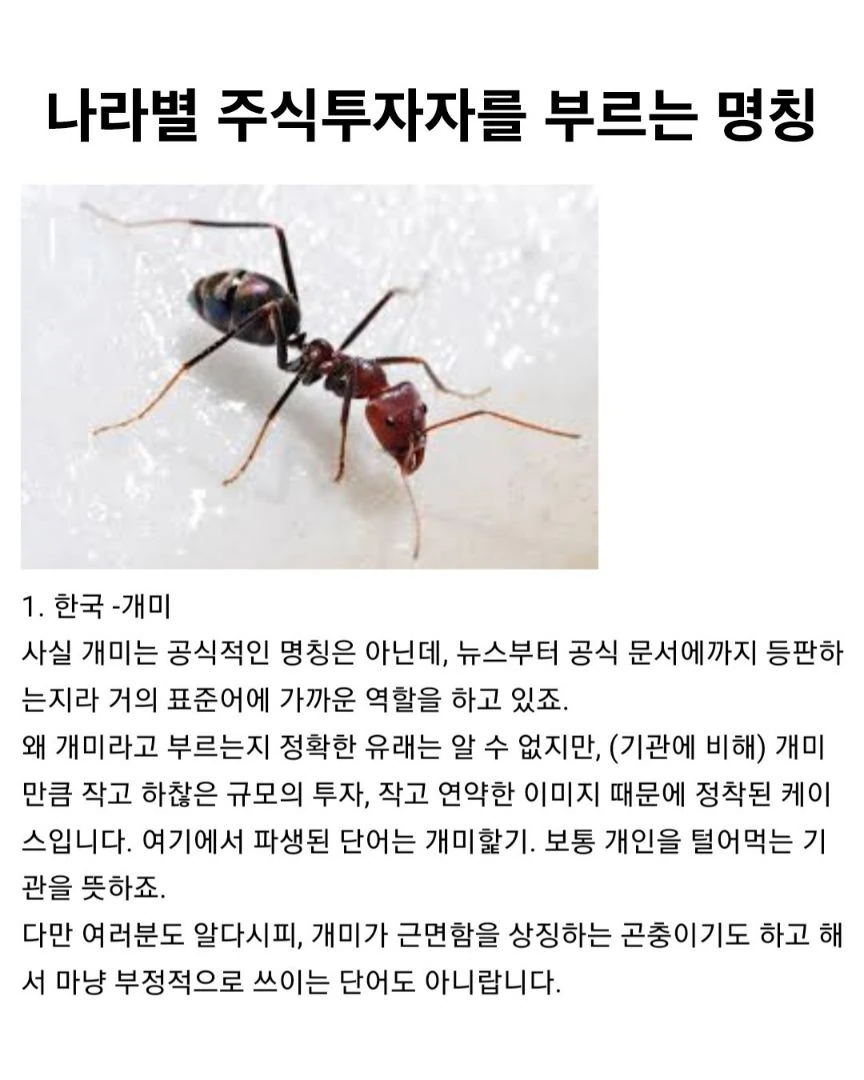 나라별 주식투자자들 부르는 명칭