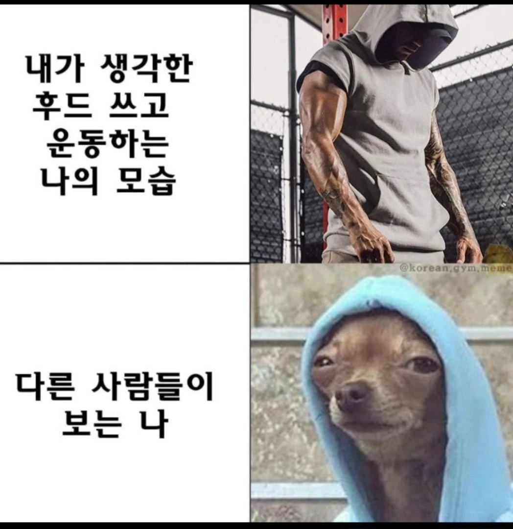 유에스디에이아이 인정이다
