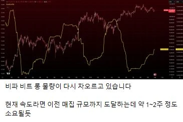 비트 물량 차오르는 중