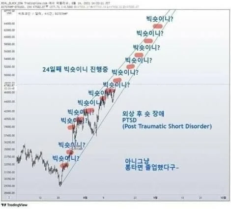 지금 현재 알트장의 느낌