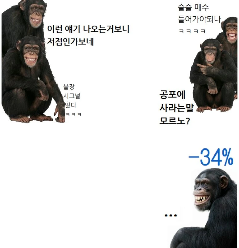 현재 코인 투자자 상황