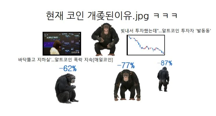 현재 코인 투자자 상황