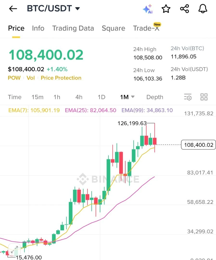 진지하게 만약에 비트 월봉이